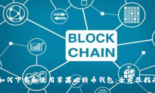 如何下载和使用苹果比特币钱包:全方位指南
