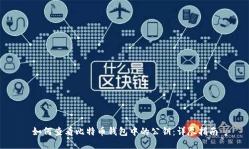 如何查看比特币钱包中的公钥:详尽指南