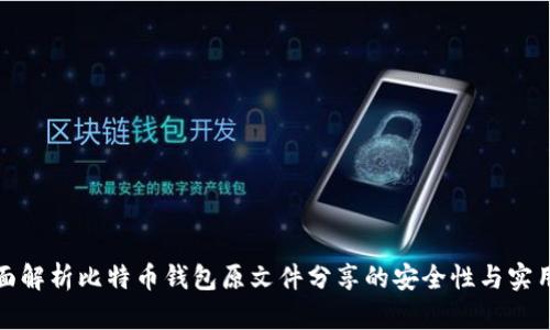 全面解析比特币钱包原文件分享的安全性与实用性