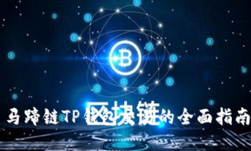 马蹄链TP钱包交易的全面指南