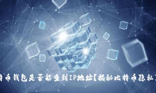 比特币钱包是否能查到IP地址?揭秘比特币隐私真相