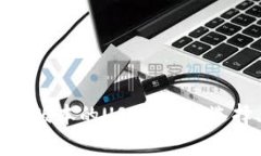 全面解析支持Omni版本的USDT钱包：选择