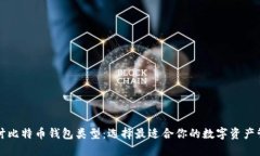 深入探讨比特币钱包类型：选择最适合