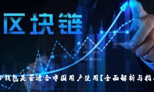TP钱包是否适合中国用户使用?全面解析与指导