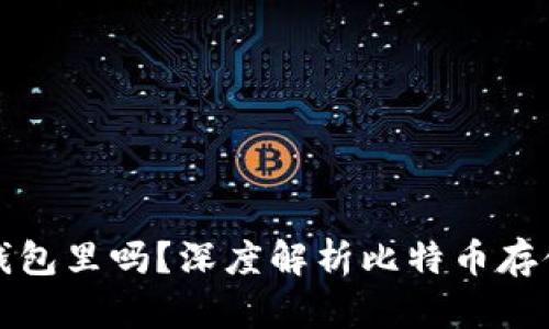 比特币有必要放钱包里吗?深度解析比特币存储的安全性与策略