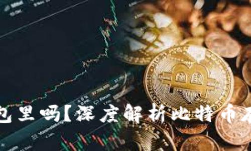比特币有必要放钱包里吗?深度解析比特币存储的安全性与策略