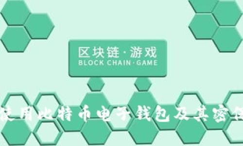 如何安全使用比特币电子钱包及其密保管理指南