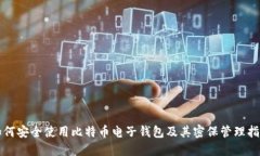 如何安全使用比特币电子钱包及其密保