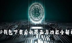 TP钱包下载后的界面与功能全解析