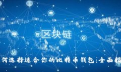 如何选择适合你的比特币钱包：全面指