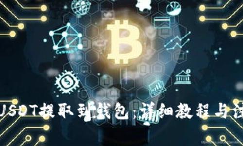 如何将USDT提取到钱包:详细教程与注意事项