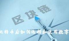 买了比特币后如何选择和使用数字钱包
