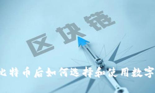买了比特币后如何选择和使用数字钱包?