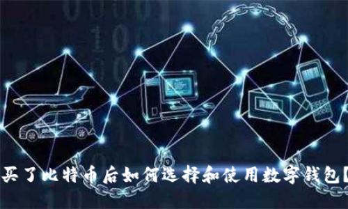 买了比特币后如何选择和使用数字钱包?