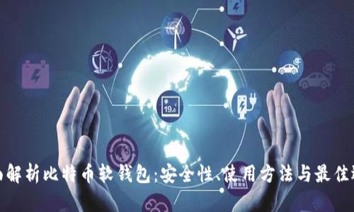 全面解析比特币软钱包:安全性、使用方法与最佳选择