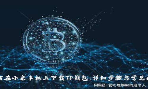 如何在小米手机上下载TP钱包:详细步骤与常见问题