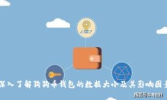 深入了解狗狗币钱包的数据大小及其影