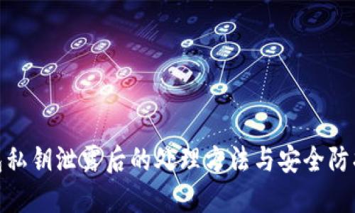 TP钱包私钥泄露后的处理方法与安全防护措施