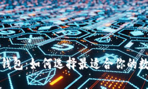 全面解析比特币钱包:如何选择最适合你的数字资产存储方式