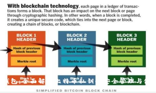 币信钱包:全面解析比特币私钥的安全管理与使用技巧