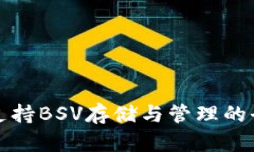 TP钱包支持BSV存储与管理的全面指南