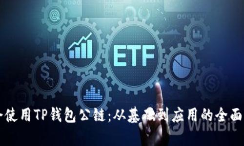学会使用TP钱包公链:从基础到应用的全面指南