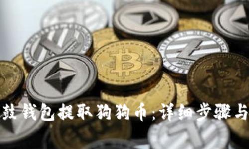 如何在鼓鼓钱包提取狗狗币:详细步骤与注意事项