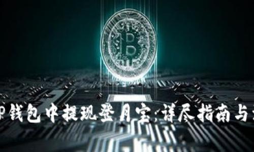 如何在TP钱包中提现登月宝:详尽指南与注意事项