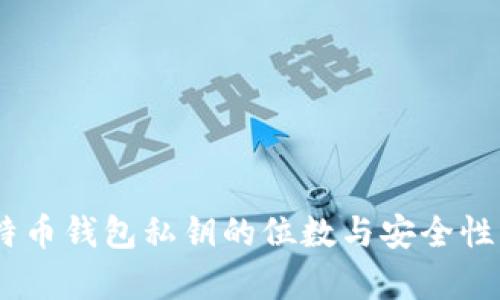 ziaoti比特币钱包私钥的位数与安全性:全面解析