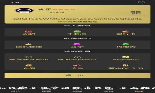 如何安全保管比特币钱包:全面指南