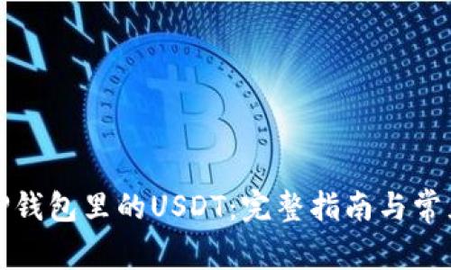 如何找回TP钱包里的USDT:完整指南与常见问题解答