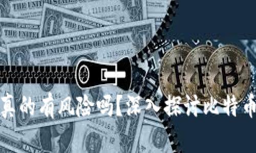 存比特币钱包真的有风险吗?深入探讨比特币钱包的安全性