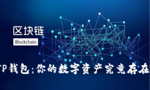 探究TP钱包:你的数字资产究竟存在哪里?