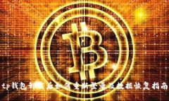 tp钱包卸载后如何重新登录及数据恢复