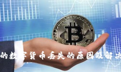 TP钱包中的数字货币丢失的原因及解决方案分析