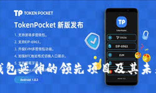 : TP钱包延伸的领先项目及其未来展望