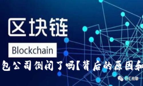 比特币钱包公司倒闭了吗?背后的原因和未来展望