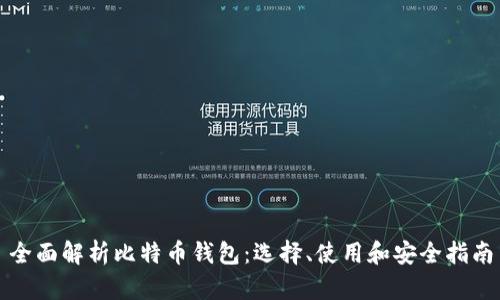 全面解析比特币钱包:选择、使用和安全指南