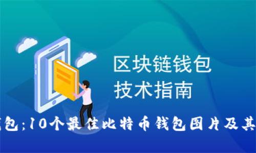 比特币钱包:10个最佳比特币钱包图片及其特点分析