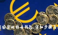 如何下载安装比特币钱包：详细步骤与