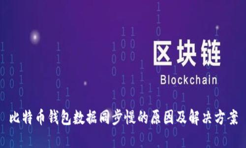 比特币钱包数据同步慢的原因及解决方案