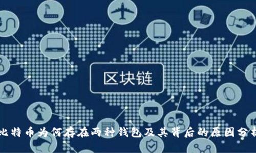 比特币为何存在两种钱包及其背后的原因分析