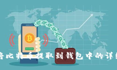 如何将比特币提取到钱包中的详细指南