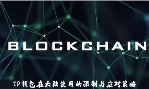 TP钱包在大陆使用的限制与应对策略