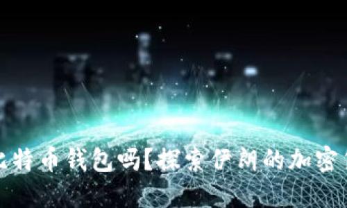 伊朗可以使用比特币钱包吗?探索伊朗的加密货币现状与挑战