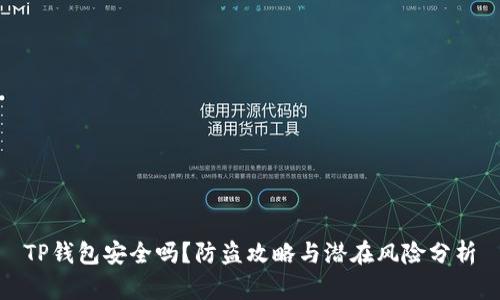 TP钱包安全吗?防盗攻略与潜在风险分析