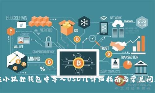 如何在小狐狸钱包中导入USDT?详细指南与常见问题解答