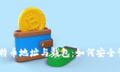 全面解析比特币地址与钱包：如何安全