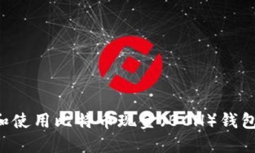 如何选择和使用比特币现金(BCH)钱包:完整指南