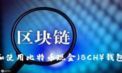如何选择和使用比特币现金（BCH）钱包